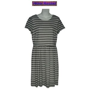 Ann Taylor Dress Eyelet Classic Style Office Academia Black & White Skater Sz 12